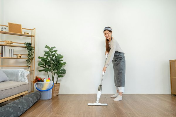 En quoi le Roborock Flexi pro se distingue ?